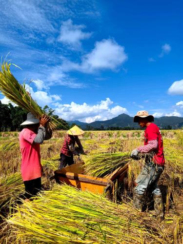 微信图片_2025-10-22_100435_698