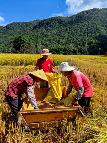 微信图片_2025-10-22_100437_218