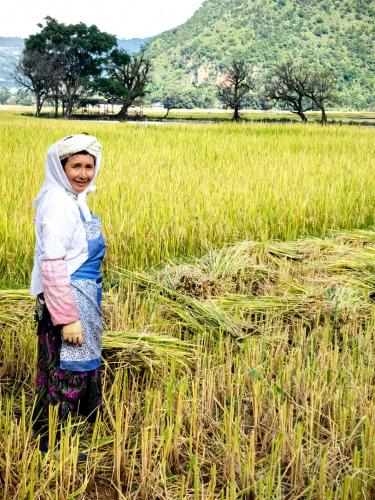 微信图片_2025-10-22_100438_537