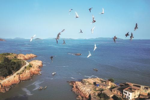 a64d2264-953d-4709-ae0f-68f5384f814e