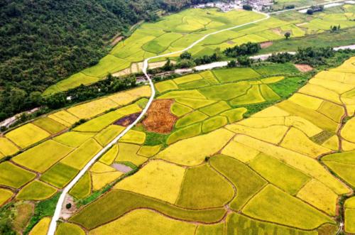 ScreenShot_2025-11-07_212239_582