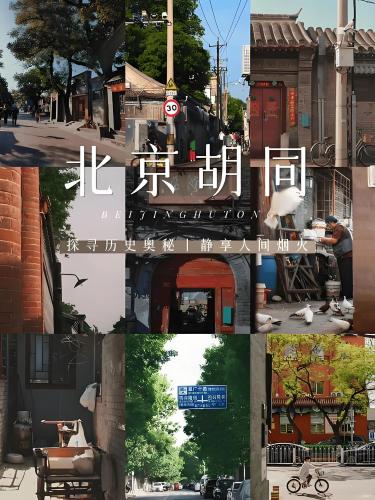 微信图片_2025-11-17_102333_078