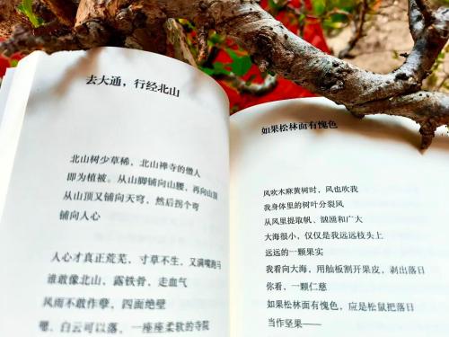 微信图片_2025-11-19_103613_432