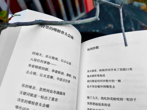 微信图片_2025-11-19_103617_353