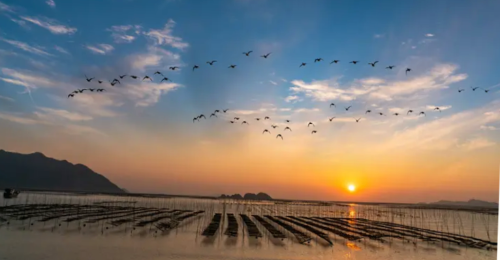 ScreenShot_2025-11-24_103944_732