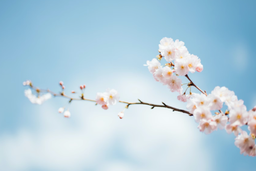 微信图片_2025-12-30_104729_872