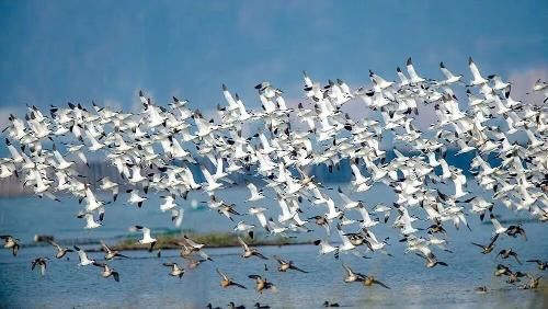 微信图片_2026-01-31_195238_729