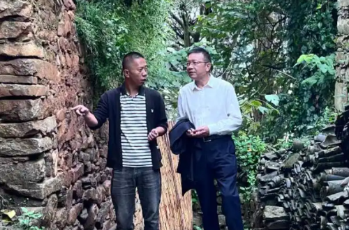 胡丘陵（右）走访大理乡村