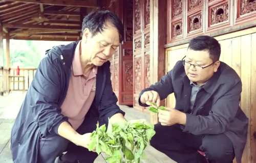 杨廷成（左）调研临翔脱贫攻坚情况