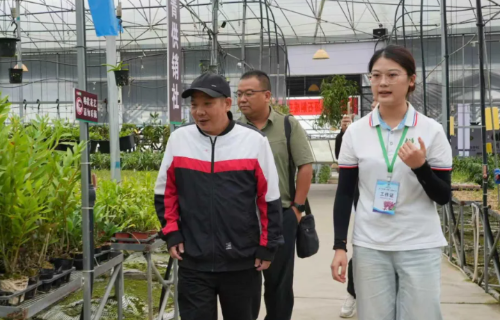 张绍民（左一）调研龙陵特色产业