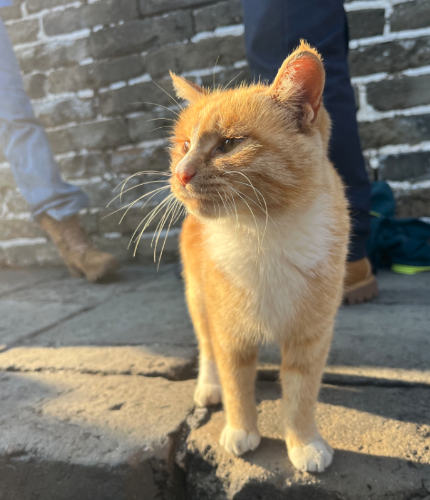 微信图片_2026-03-04_105341_643