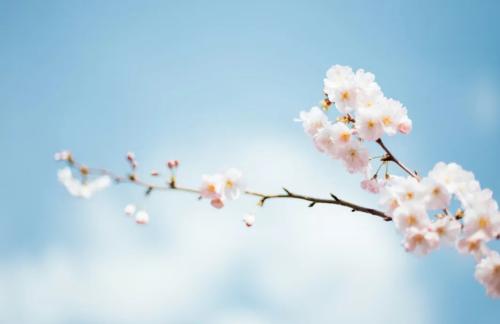 微信图片_20260306102911_1414_5