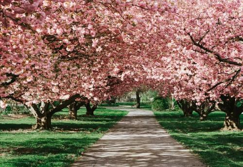 微信图片_20260306102912_1418_5