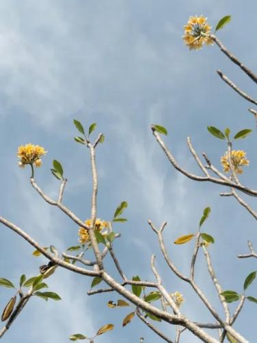 微信图片_20260306102912_1420_5