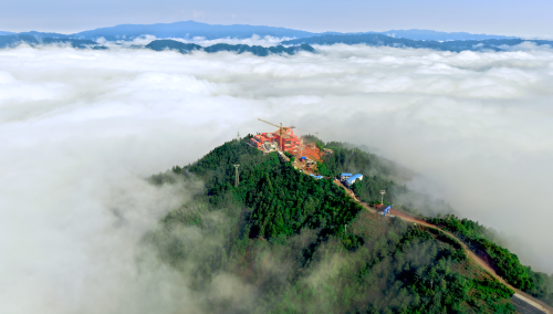 fc56ea8b391e479bb71a555b480b5e5a