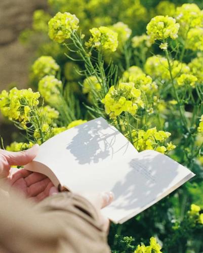 微信图片_2026-03-09_144557_006