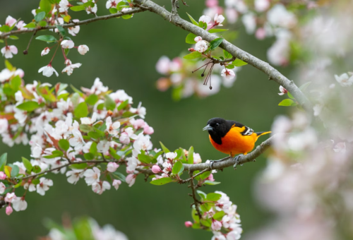 微信图片_2026-03-20_103142_949