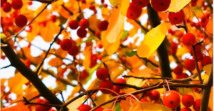 微信图片_2026-03-25_103734_996