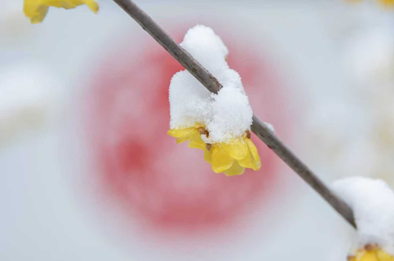 微信图片_2026-03-31_103145_688