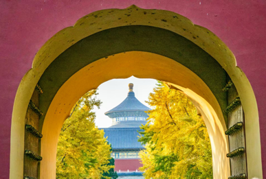 微信图片_2026-03-31_103153_967