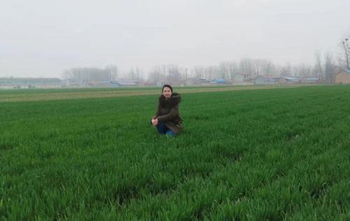 微信图片_2026-04-01_113043_387