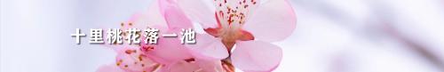 彭葆平03