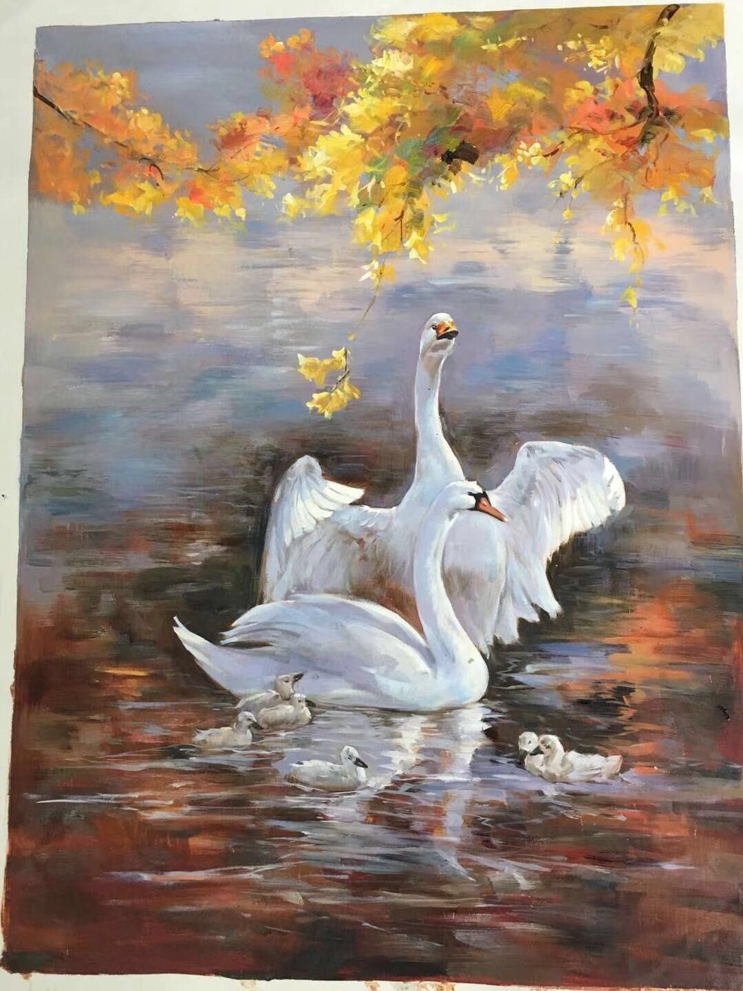 mmexport1551187943748