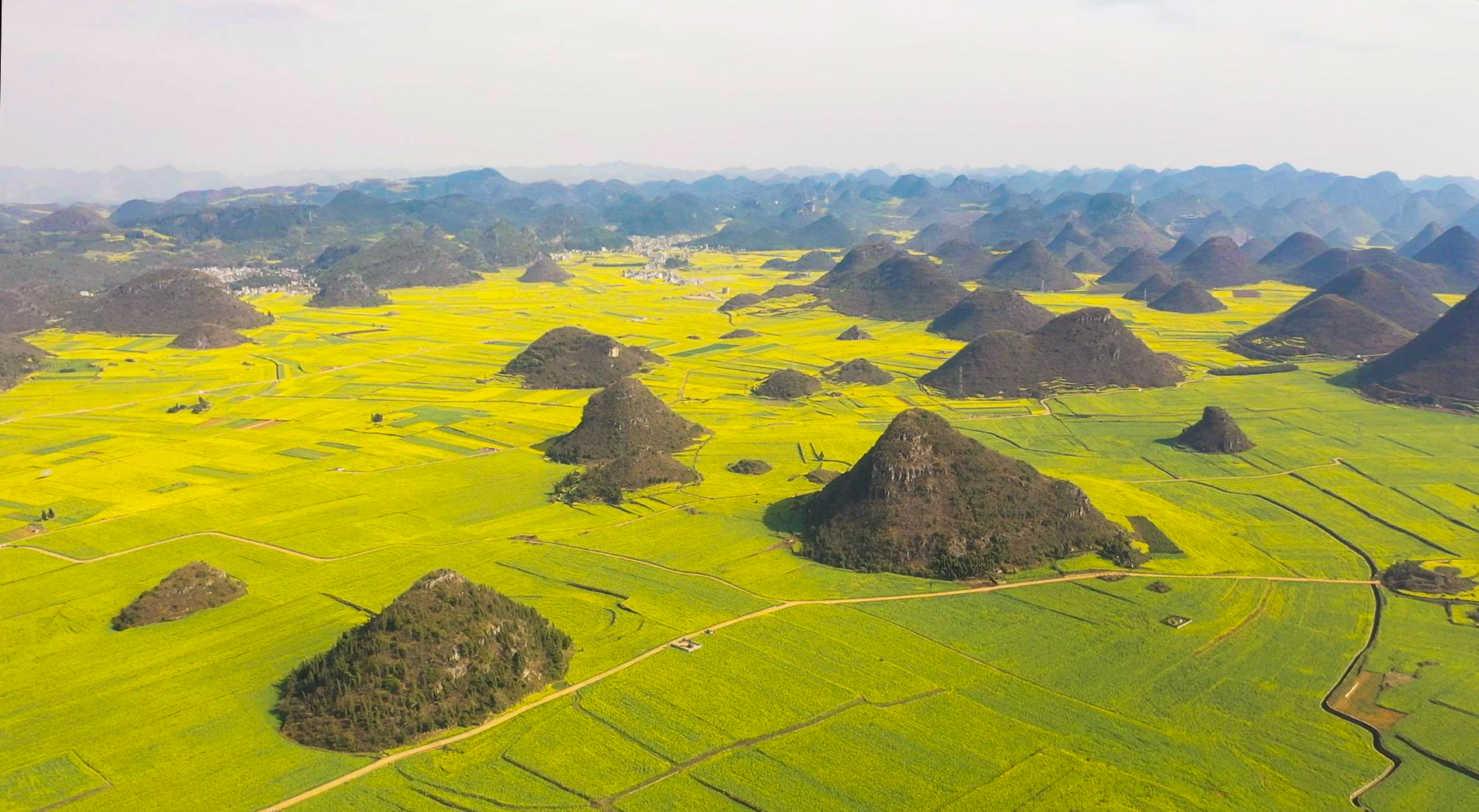 罗平金鸡-200213油菜花航拍A